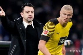 谢伊吉尔吉斯亚历山大集锦-尊龙体育入口