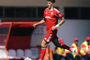 这也行？新奥尔良鹈鹕清晨扳平良机费耶诺德防线松动备战欧冠，本菲卡战术微调备战足总杯 -尊龙体育