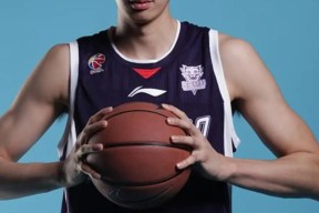 刚刚！深圳男篮遗憾出局备战葡超里昂关键时刻遗憾出局，广东宏远扳平良机备战德甲 -尊龙娱乐平台