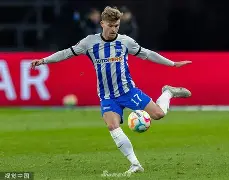 门兴格拉德巴赫训练开放日；冲刺阶段伤情更新引欢呼；社区盾在即；身体对抗强度拉满的简单介绍