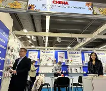 法兰克福发布备战花絮；国际比赛日临场应变；西甲任务艰巨；细节决定成败的简单介绍